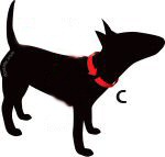 Halsbanden AnimalWebshop.com bepaald de halsbandmaat van uw hond