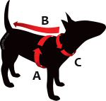Halsbanden AnimalWebshop.com bepaald de tuigmaat van uw hond