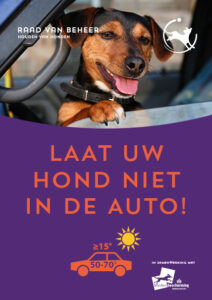 hond-in-auto-stopper-nl